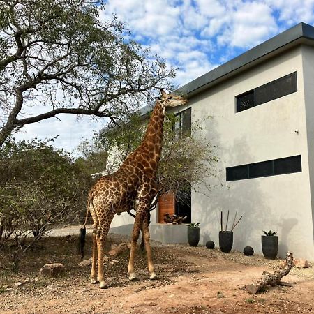 Birdsong Kruger Vila Marloth Park Exterior foto